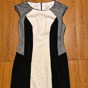 Calvin Klein Dress | Size: 4| Color: Black & White| Sleeveless